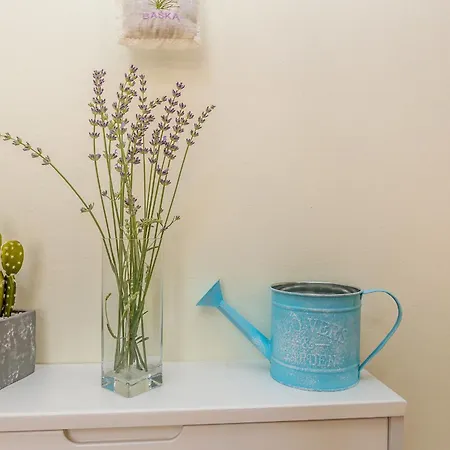 Apartment Maya Lorena